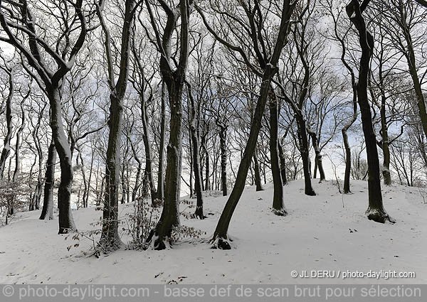 parc de Cointe sous la neige